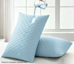 PILLOWCASE-ΚΑΠΙΤΟΝΕ-ΑΔΙΑΒΡΟΧΟ-2 PILLOWCASE-ΚΑΠΙΤΟΝΕ-ΑΔΙΑΒΡΟΧΟ-2